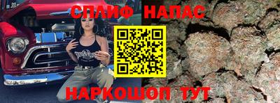 тгк Будённовск
