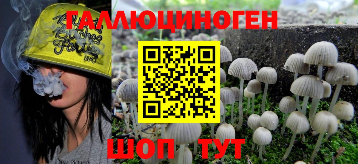 Обь  Псилоцибиновые грибы ЛСД  Вход с VPN  Псилоцибиновые грибы мицелий 