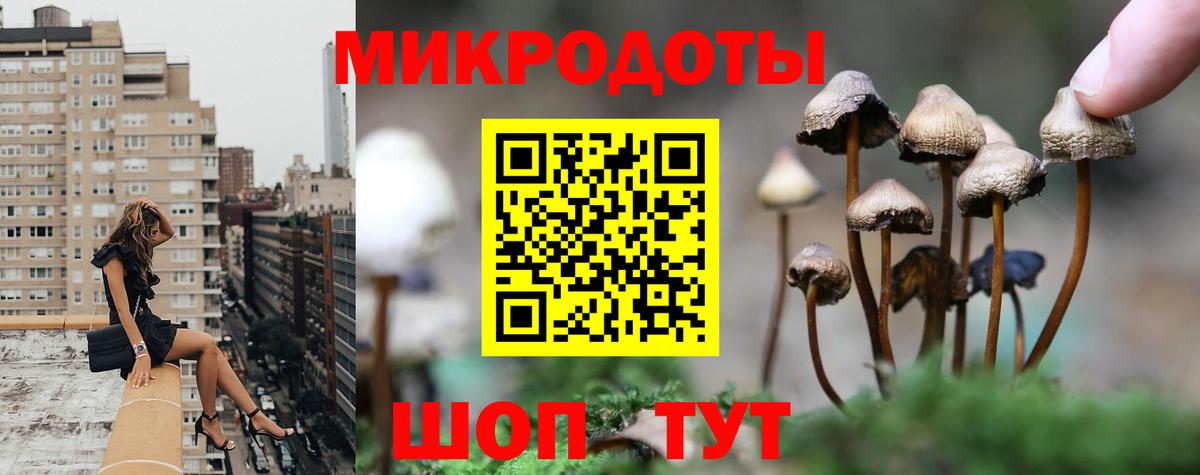 Галлюциногенные грибы мицелий Обь